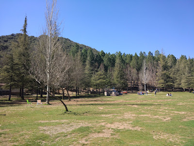 Zona de Acampada Controlada "La Florencia"