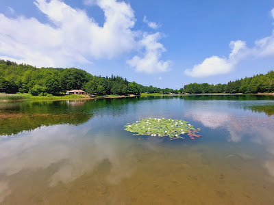 Lago Calamone / Lago Del Ventasso
