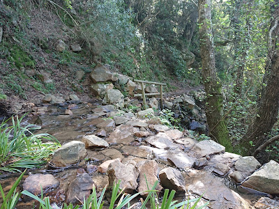 Área recreativa El Bujeo
