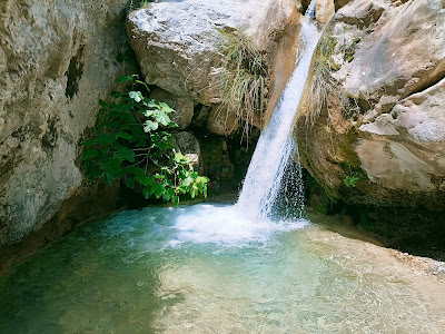 Poza de los Patos