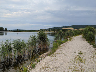 Rašelina