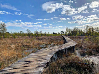 Nationaal Park De Groote Peel