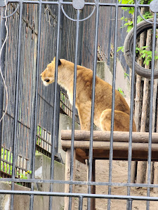 Grădina Zoologică din Chișinău