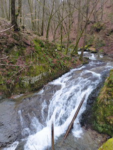 Cascada Cornet