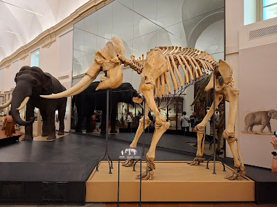 Museo Regionale di Scienze Naturali