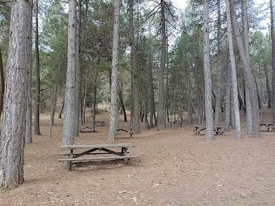 Las Mimbres