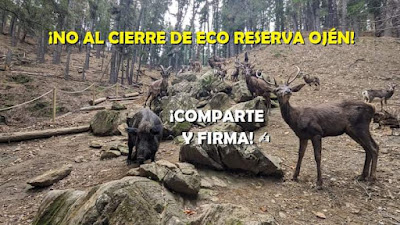Eco Reserva Ojen