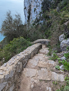 Mediterranean Steps