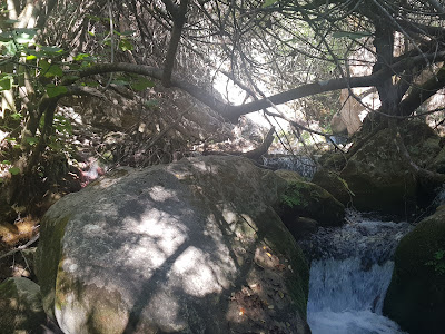 Cascada Honda Benamahoma