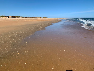 Playa de Nueva Umbría