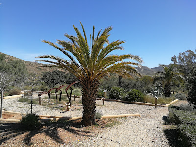 Botanical Garden
