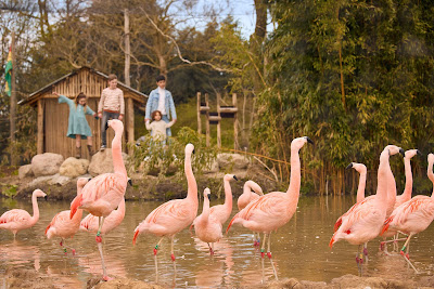 ZooParc Overloon