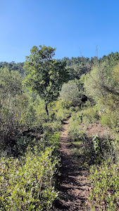 Sendero Santa Ana - Castaño del Robledo