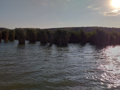 Lacul Vederoasa