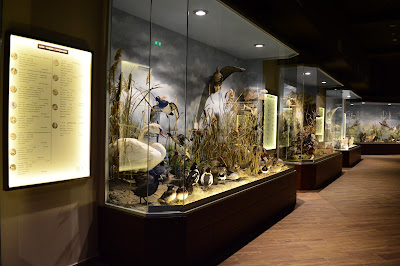Natural History Museum of Meteora and Mushroom Museum