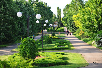 Complexul Muzeal de Științele Naturii "Răsvan Angheluță" Galați