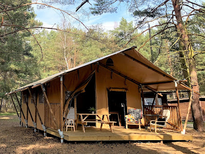 Camp Bursztynowy Las