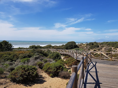 Dunas de Artola o Cabopino