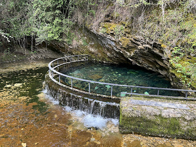 Nacedero río Ubagua - Ubaguako iturburua