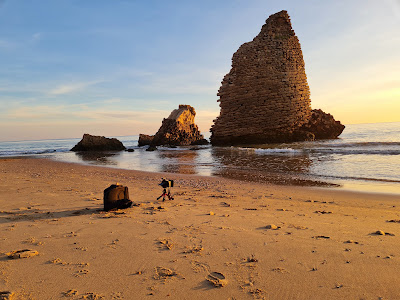 Torre del Loro