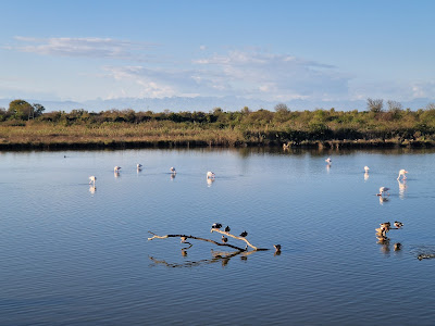 Canal Novo Valley Nature Reserve