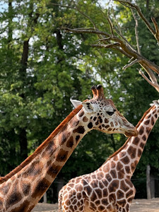 Zoo Zlín