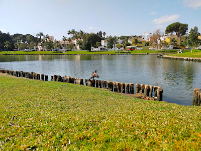 Lago de los patos de Guadacorte