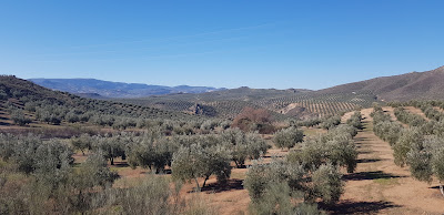 Camino Natural Vía Verde del Aceite