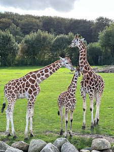 Aalborg Zoo