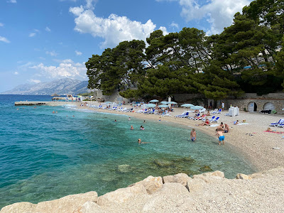 Plaža Loznica