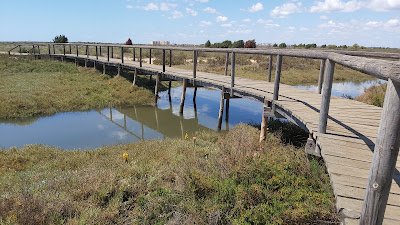 Marismas del Odiel