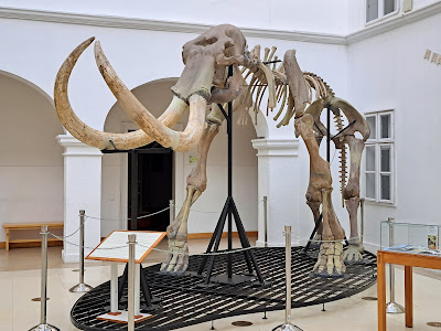 Museum Matra