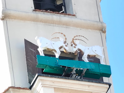 Poznań Goats — fotografia 5
