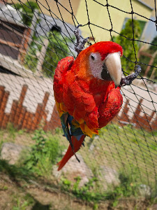 Pangea Park — fotografia 5