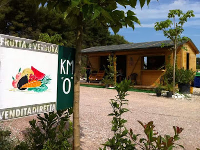 Agricampeggio Tognoni - Glamping — fotografia 5